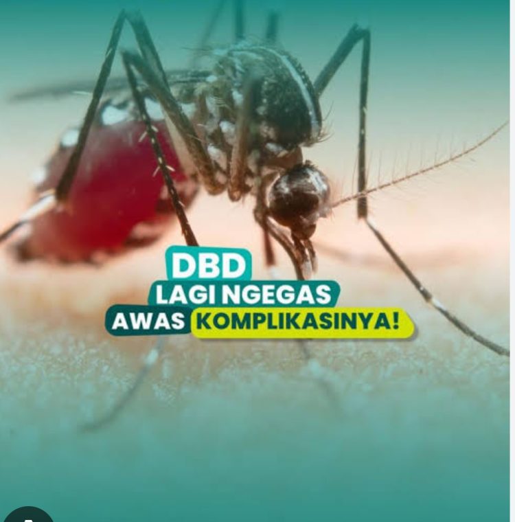 Lagi Demam Berdarah memakan Korban