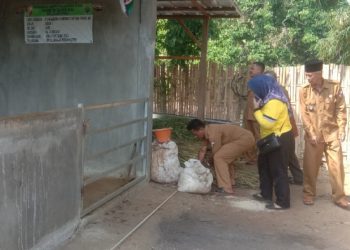 Inspektur Lampura Monev Realisasi Kegiatan Fisik Desa Sinar Mulya,  Tanjung Raja