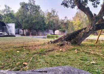 Berugo Cottage Penginapan Mewah bernuansa Alam’