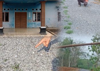 Tumbuhi Rumput, Peningkatan Jalan Lapen Desa Mekar Asri Terindikasi Minim Bahan Material