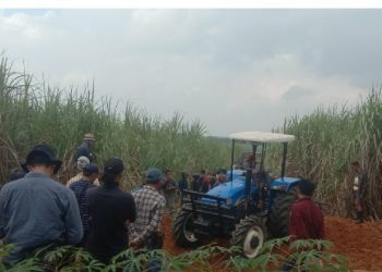 Rencana Penggarapan Di Lahan Sengketa Masyarakat Adat Panagan Ratu Tertunda, Batas Waktu 30 Hari Ke Depan