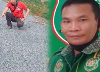 Inspektorat Mesti Turun Kelapangan,   Periksa Dugaan Korupsi Jalan Lapen DD Mekar Asri