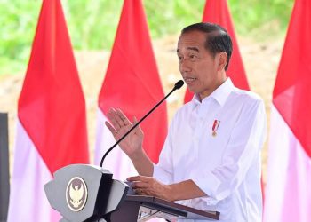 Pembangunan Magnum resort Nusantara