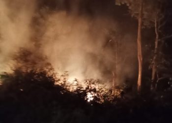 Kebakaran di Kawasan Bukit Punggur Lampung Utara