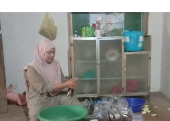 Renyahnya Usaha Kripik Rumahan