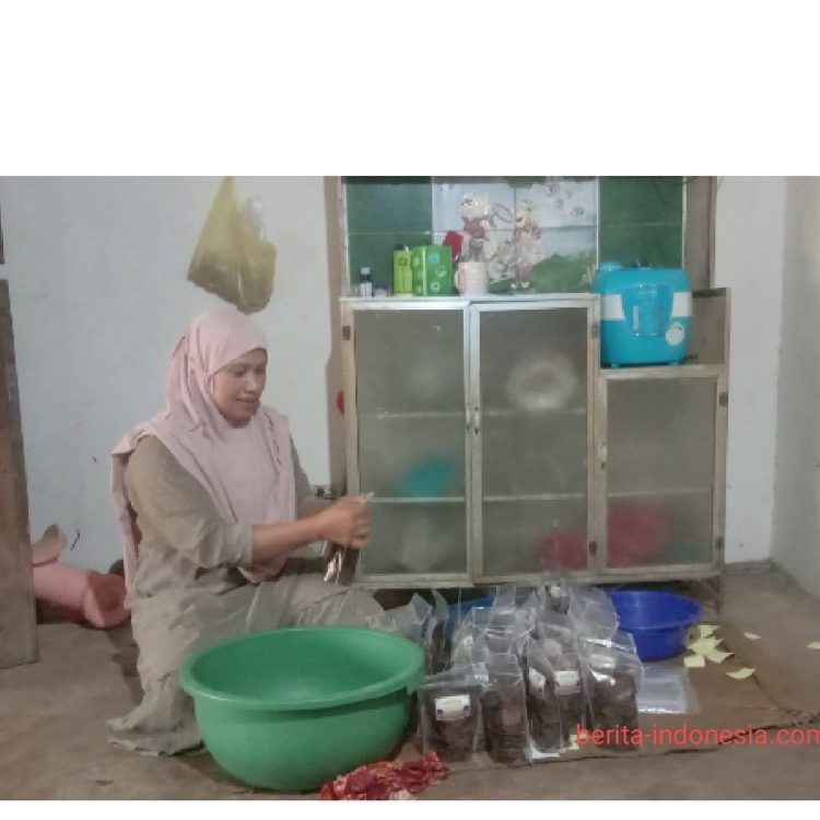 Renyahnya Usaha Kripik Rumahan