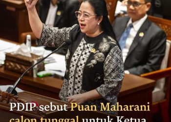 Puan Maharani Ketua DPR-RI