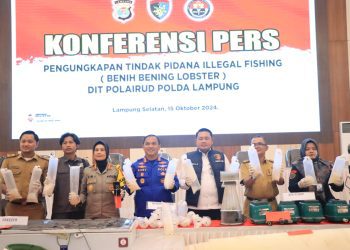 Dit Polairud Polda Lampung ungkap Penyelundupan 149.000eko Benih Lobster