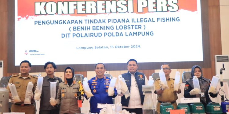 Dit Polairud Polda Lampung ungkap Penyelundupan 149.000eko Benih Lobster