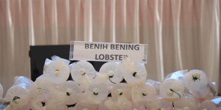 Dit Polairud Polda Lampung ungkap Penyelundupan 149.000eko Benih Lobster