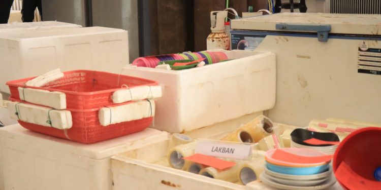 Dit Polairud Polda Lampung ungkap Penyelundupan 149.000eko Benih Lobster