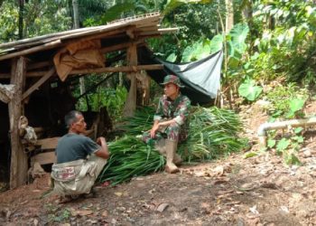 Anggota Satgas TMMD ke 123 Komsos Ke Peternak Sapi