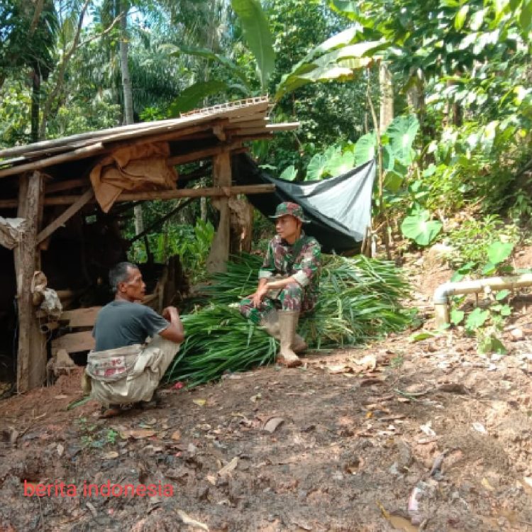 Anggota Satgas TMMD ke 123 Komsos Ke Peternak Sapi