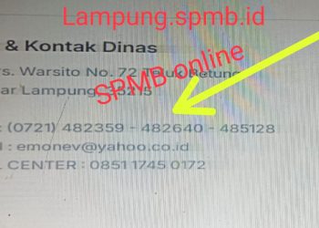 Ada apa dengan nomor Kepala Dinas Pendidikan Provinsi