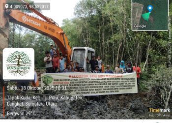 Diduga Jual Lahan Mangrove: Oknum Kades Bubun dan Mantan Camat Tanjung Pura Terlibat Mafia Tanah, LSM ELANG MAS Siap Tempuh Jalur Hukum