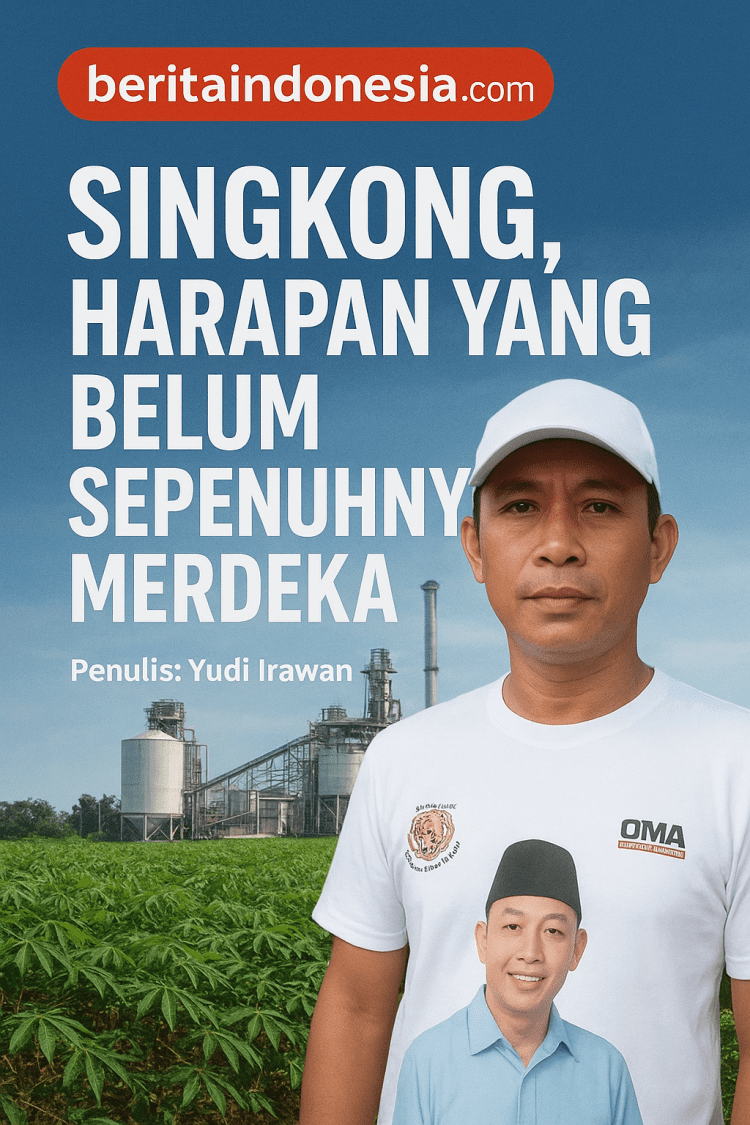 Singkong, Harapan yang Belum Sepenuhnya Merdeka