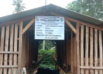 BUMDes Galang Usaha Kembangkan Penggemukan Kambing & Pembibitan Lele untuk Dorong Ekonomi Desa Beringin