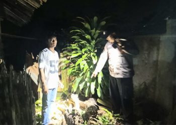 Dengar Suara Tangisan, Warga Sumberejo Temukan Bayi Perempuan di Lubang Bekas Septiteng