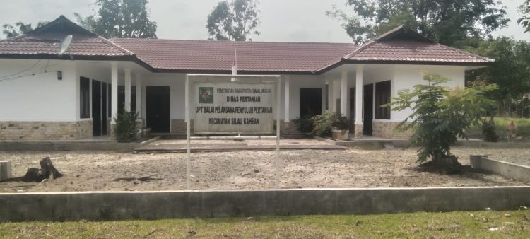 Ketua DPC LSM ELANG MAS Kabupaten Simalungun Minta Kejari Tindak Dugaan Penyelewengan Pupuk Bersubsidi di Silau Kahean
