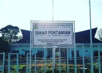 Setelah Diberitakan Penyelewengan Pupuk Bersubsidi, Oknum PPL Silau Kahean Dipanggil Dinas Pertanian, Diduga PPPK Siluman