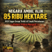 Negara Ambil Alih 85 Ribu Hektare Lahan di Lampung, HGU Sugar Group Dicabut Menteri ATR/BPN