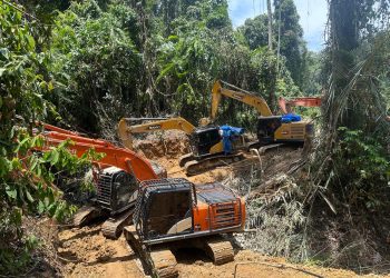 Polda Sumut Bongkar Tambang Emas Ilegal Beromzet Miliaran, 17 Orang dan 14 Ekskavator Diamankan