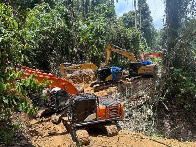 Polda Sumut Bongkar Tambang Emas Ilegal Beromzet Miliaran, 17 Orang dan 14 Ekskavator Diamankan