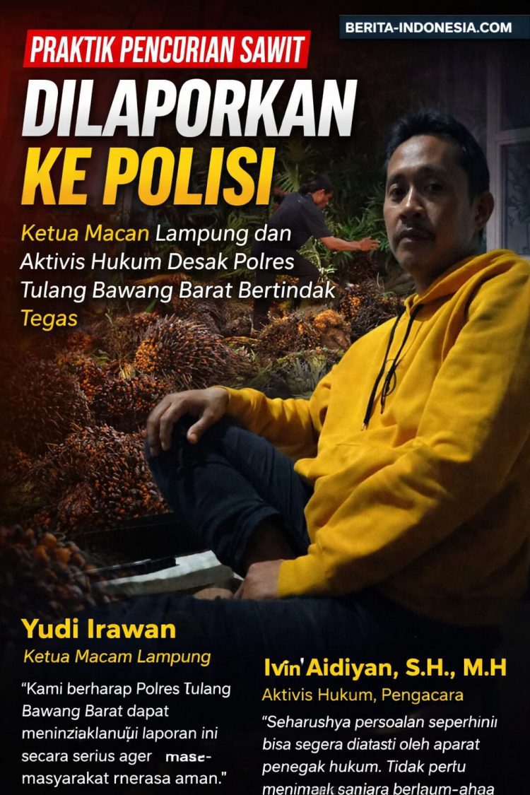 Pencurian Sawit Berulang di Desa Karta Tanjung Selamat Dilaporkan ke Polisi