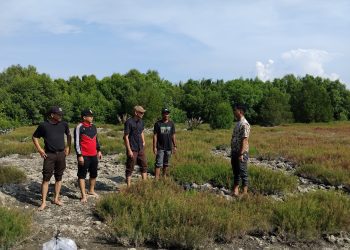 Perkuat Kepastian Hukum, Kejari Simalungun Tinjau Langsung Aset Rampasan Negara di Kabupaten Batubara