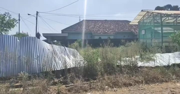 KWT Desa Bumi Agung Marga Diduga Terbengkalai, Warga Minta Aparat Lakukan Penelusuran